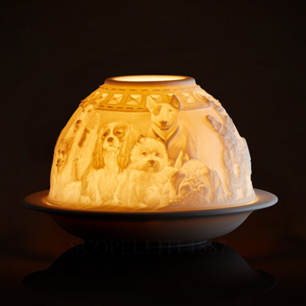 litofania cani bernardaud luce accesa