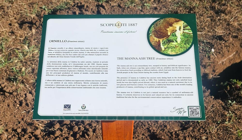 cartellino albero poggio pignatelli