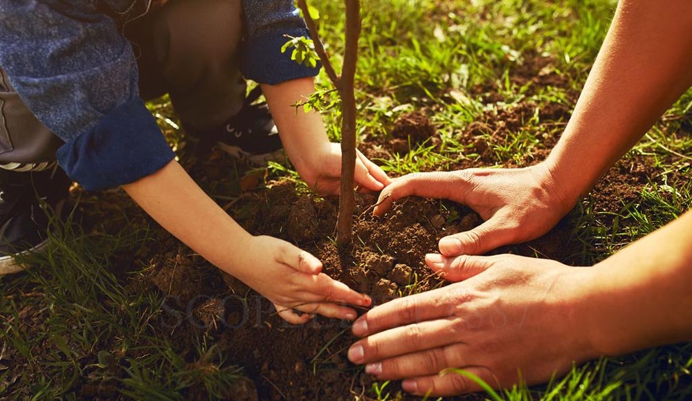 piantiamo insieme il futuro progetto