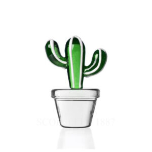 bomboniera ichendorf fermacarte cactus verde