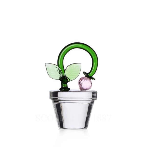 bomboniera ichendorf fermacarte fragola
