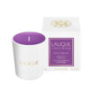 Lalique Candela Electric Purple