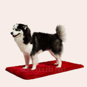 guess tappetino per animali rosso